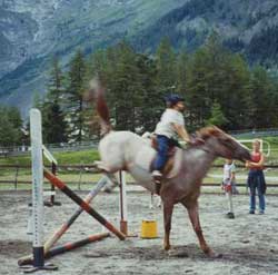 lezione in campo a Courmayeur